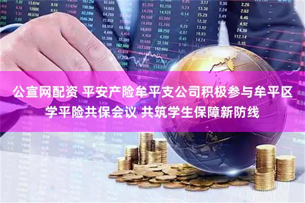 公宣网配资 平安产险牟平支公司积极参与牟平区学平险共保会议 共筑学生保障新防线