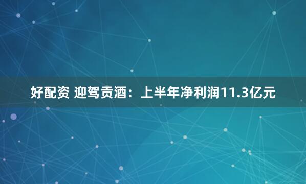 好配资 迎驾贡酒：上半年净利润11.3亿元