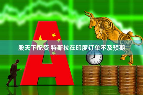 股天下配资 特斯拉在印度订单不及预期